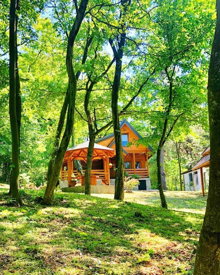Brvnara Vrsac Villa Ngoại thất bức ảnh