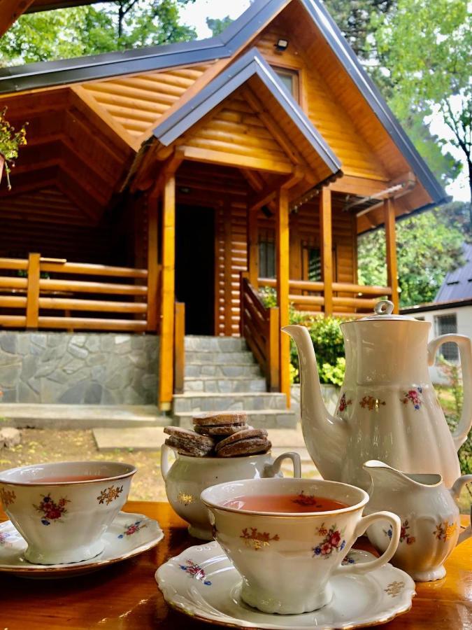 Brvnara Vrsac Villa Ngoại thất bức ảnh