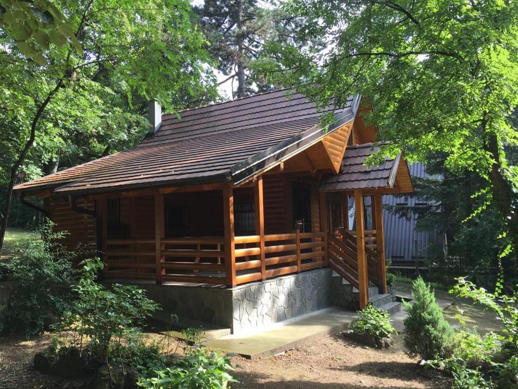 Brvnara Vrsac Villa Ngoại thất bức ảnh