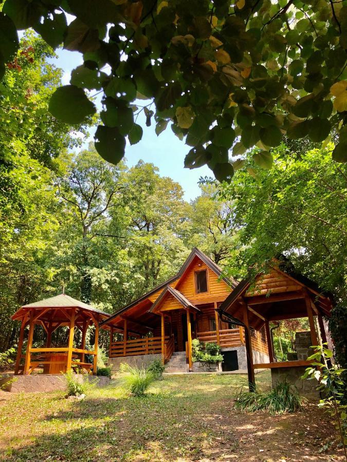 Brvnara Vrsac Villa Ngoại thất bức ảnh
