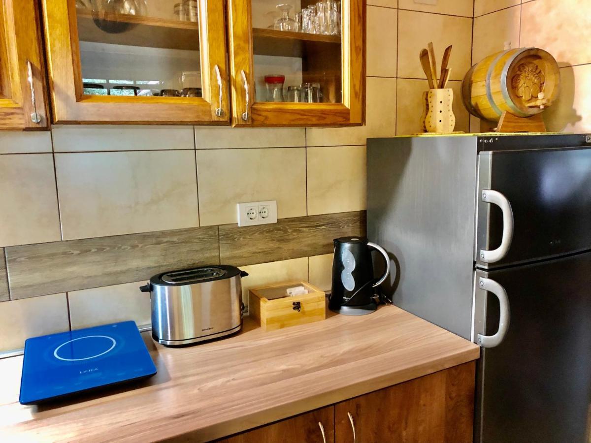 Brvnara Vrsac Villa Ngoại thất bức ảnh