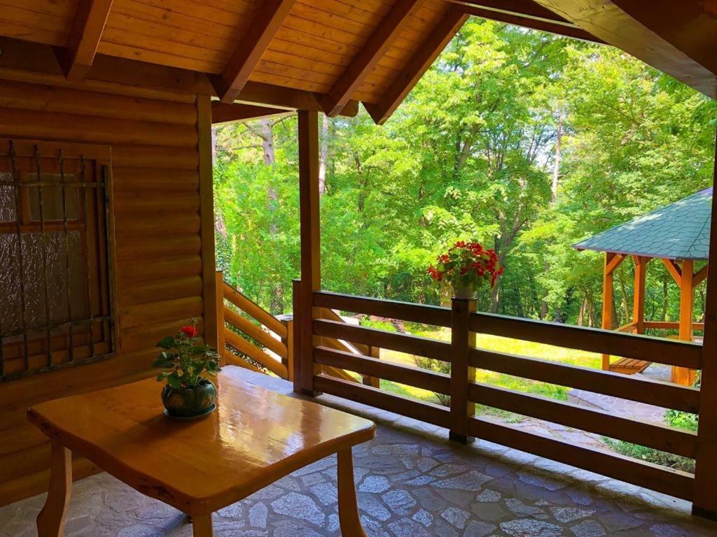 Brvnara Vrsac Villa Ngoại thất bức ảnh