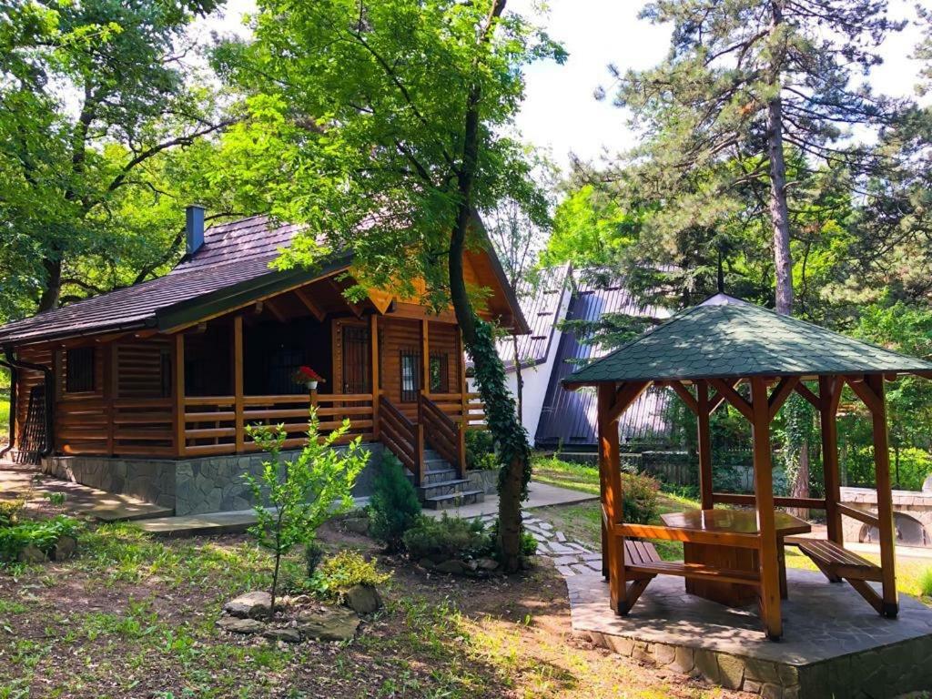 Brvnara Vrsac Villa Ngoại thất bức ảnh